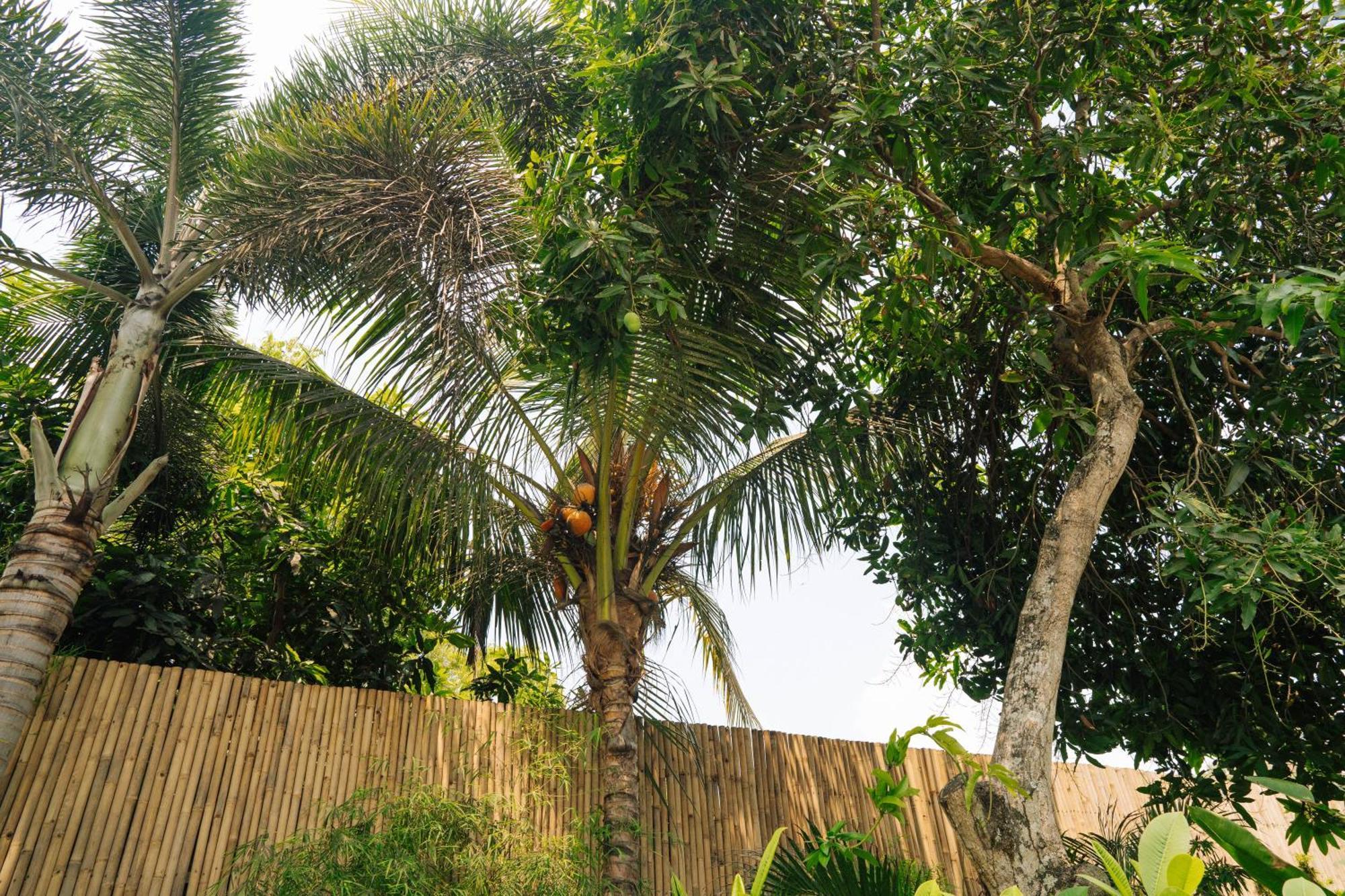 Nomada Villas Kuta  Exterior photo